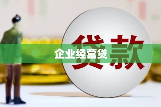 边坝企业经营贷