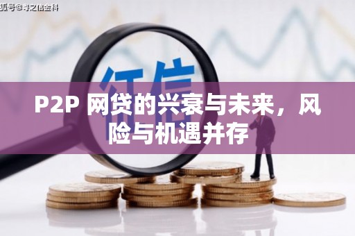 边坝P2P 网贷的兴衰与未来，风险与机遇并存
