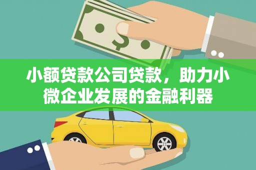 边坝小额贷款公司贷款，助力小微企业发展的金融利器