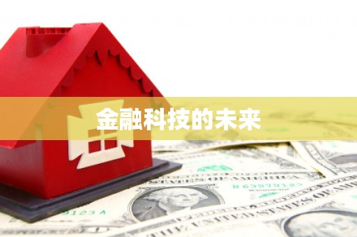 边坝金融科技的未来
