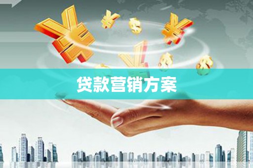 边坝贷款营销方案