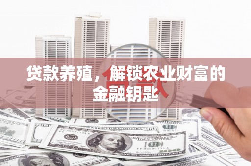 边坝贷款养殖，解锁农业财富的金融钥匙
