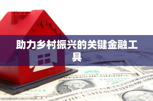 边坝助力乡村振兴的关键金融工具
