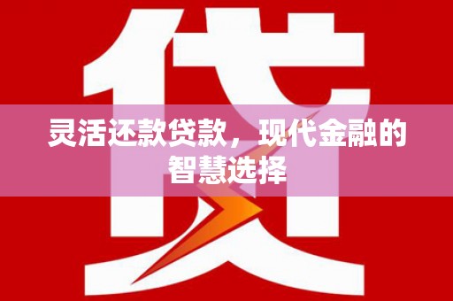 边坝灵活还款贷款，现代金融的智慧选择