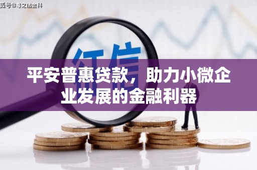 边坝平安普惠贷款，助力小微企业发展的金融利器