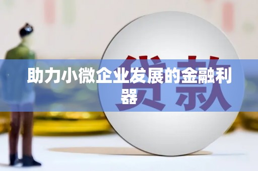 边坝助力小微企业发展的金融利器