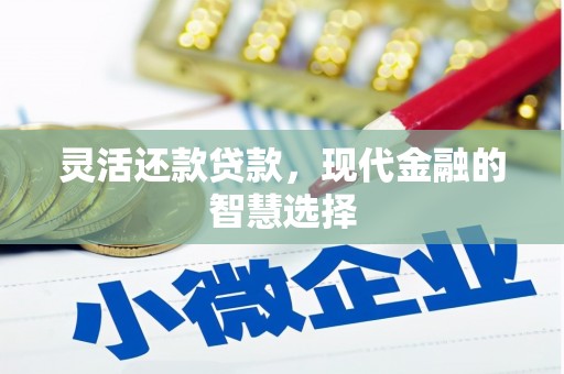 边坝灵活还款贷款，现代金融的智慧选择
