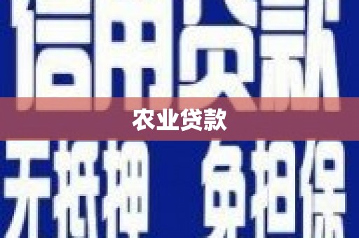 边坝农业贷款
