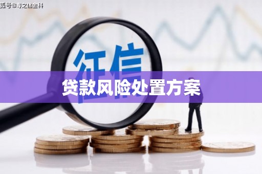 边坝贷款风险处置方案