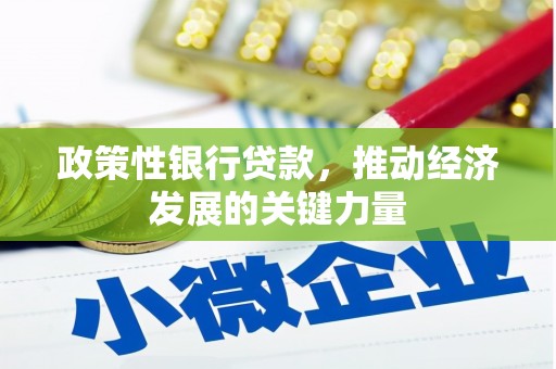边坝政策性银行贷款，推动经济发展的关键力量