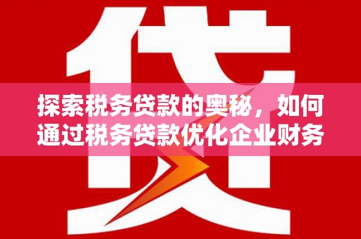 边坝探索税务贷款的奥秘，如何通过税务贷款优化企业财务