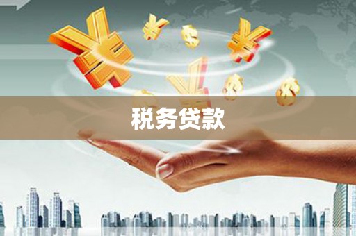边坝税务贷款