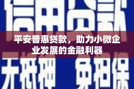 边坝平安普惠贷款，助力小微企业发展的金融利器