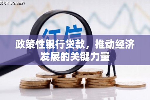 边坝政策性银行贷款，推动经济发展的关键力量