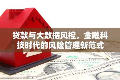 边坝贷款与大数据风控，金融科技时代的风险管理新范式