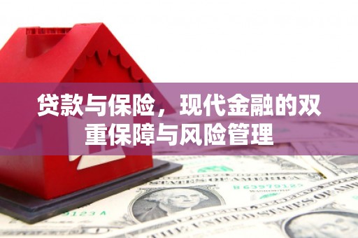 边坝贷款与保险，现代金融的双重保障与风险管理