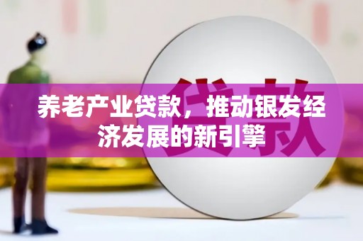 边坝养老产业贷款，推动银发经济发展的新引擎
