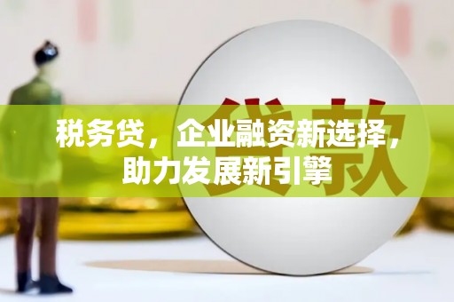 边坝税务贷，企业融资新选择，助力发展新引擎