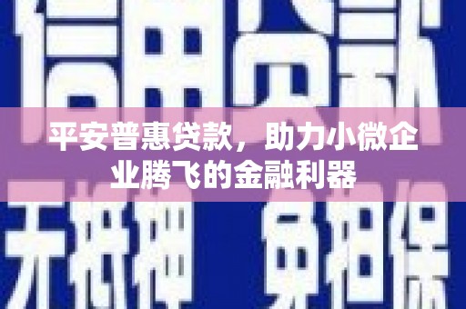 边坝平安普惠贷款，助力小微企业腾飞的金融利器