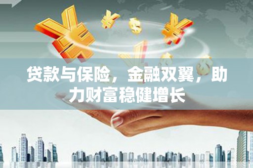 边坝贷款与保险，金融双翼，助力财富稳健增长