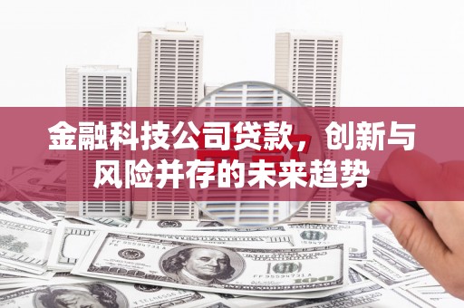 边坝金融科技公司贷款，创新与风险并存的未来趋势