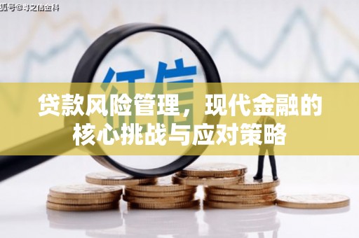 边坝贷款风险管理，现代金融的核心挑战与应对策略