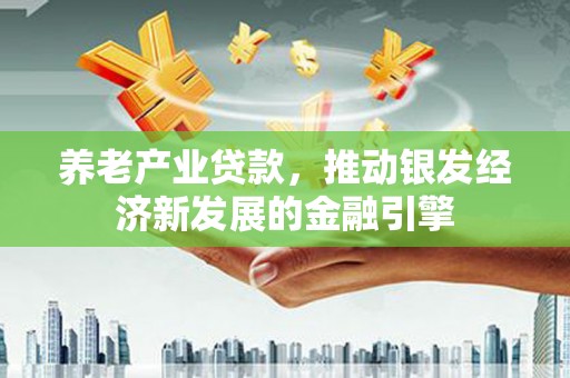 边坝养老产业贷款，推动银发经济新发展的金融引擎