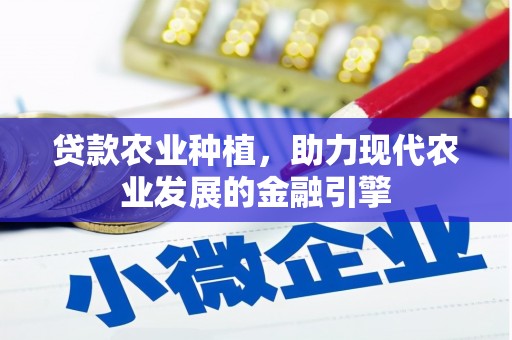 边坝贷款农业种植，助力现代农业发展的金融引擎