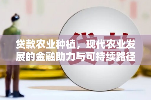 边坝贷款农业种植，现代农业发展的金融助力与可持续路径