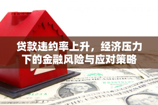 边坝贷款违约率上升，经济压力下的金融风险与应对策略