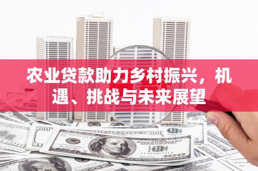 边坝农业贷款助力乡村振兴，机遇、挑战与未来展望