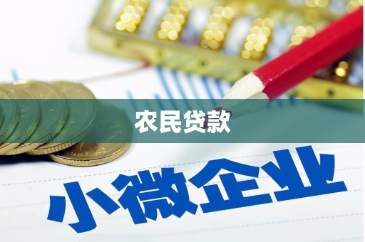 边坝农民贷款