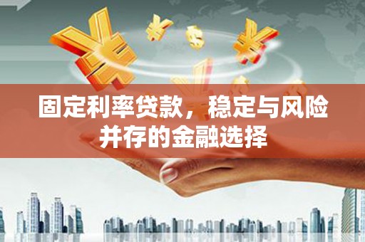 边坝固定利率贷款，稳定与风险并存的金融选择