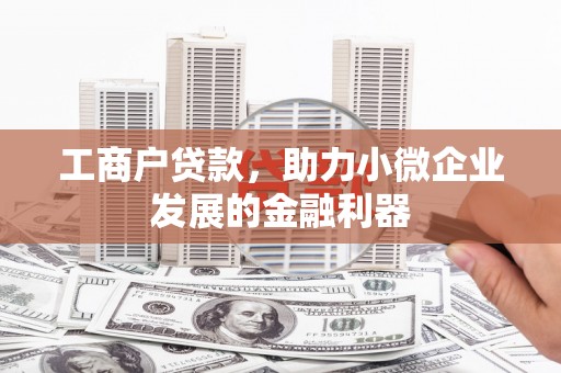 边坝工商户贷款，助力小微企业发展的金融利器