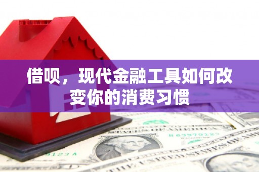 边坝借呗，现代金融工具如何改变你的消费习惯
