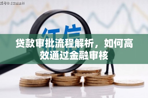 边坝贷款审批流程解析，如何高效通过金融审核