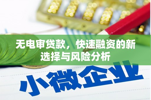 边坝无电审贷款，快速融资的新选择与风险分析