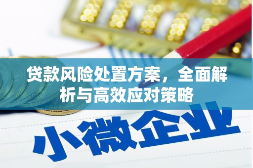 边坝贷款风险处置方案，全面解析与高效应对策略