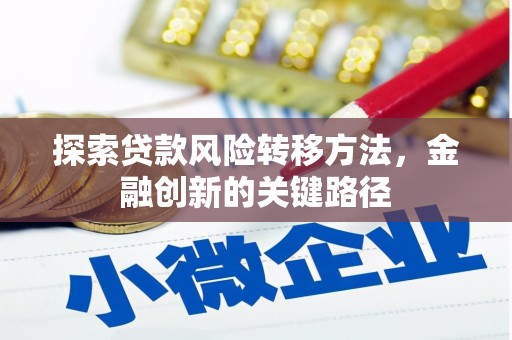 边坝探索贷款风险转移方法，金融创新的关键路径