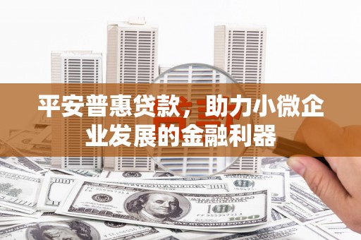 边坝平安普惠贷款，助力小微企业发展的金融利器