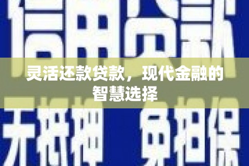 边坝灵活还款贷款，现代金融的智慧选择
