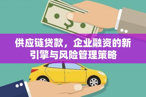 边坝供应链贷款，企业融资的新引擎与风险管理策略