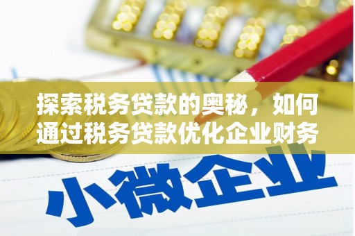 边坝探索税务贷款的奥秘，如何通过税务贷款优化企业财务
