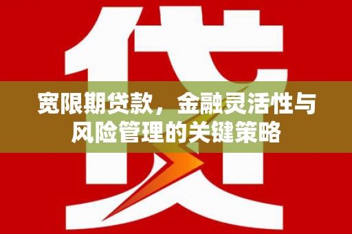 边坝宽限期贷款，金融灵活性与风险管理的关键策略