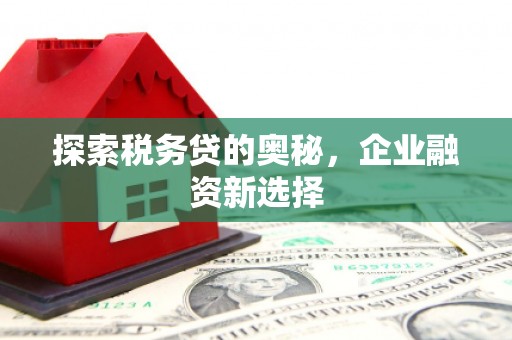 边坝探索税务贷的奥秘，企业融资新选择
