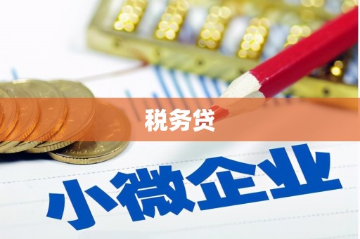 边坝税务贷