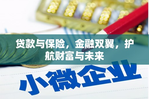 边坝贷款与保险，金融双翼，护航财富与未来