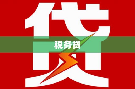 边坝税务贷
