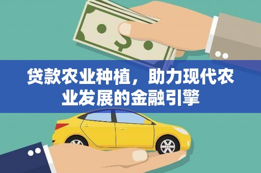边坝贷款农业种植，助力现代农业发展的金融引擎