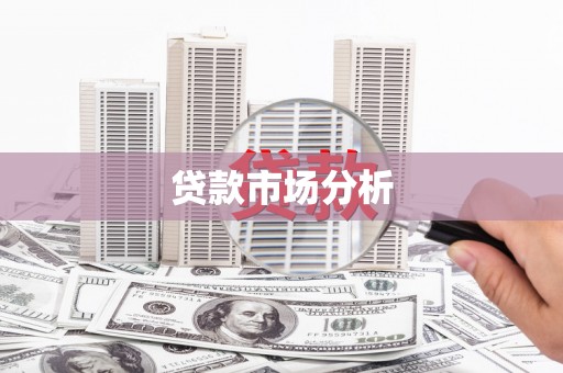 边坝贷款市场分析
